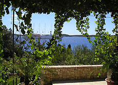 Apartment Terrace